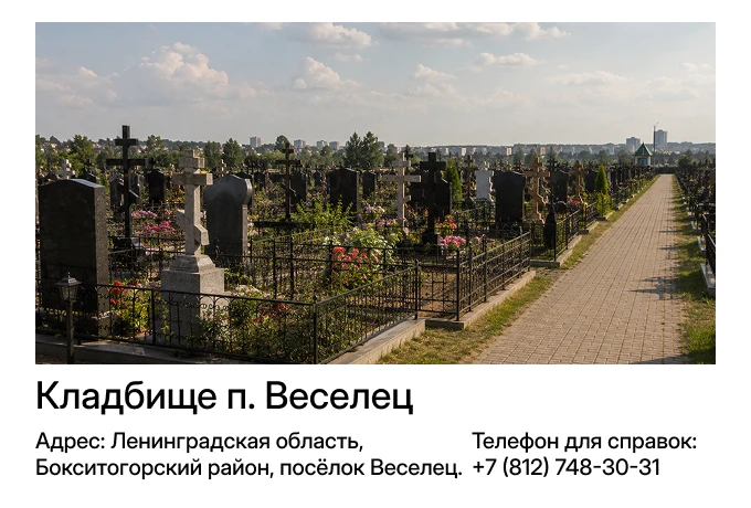 Кладбище п. Веселец