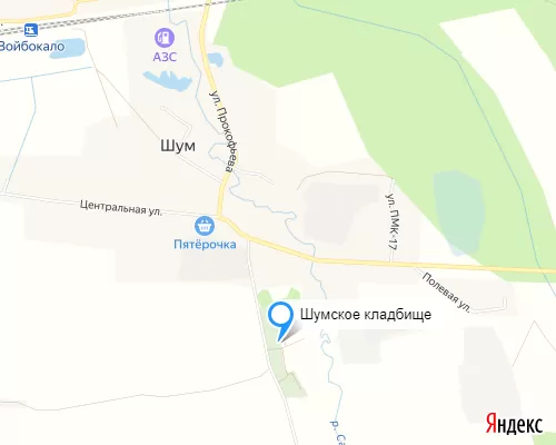 Шумское кладбище в с. Шум