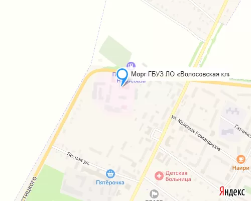 Морг ГБУЗ ЛО «Волосовская клиническая межрайонная больница»