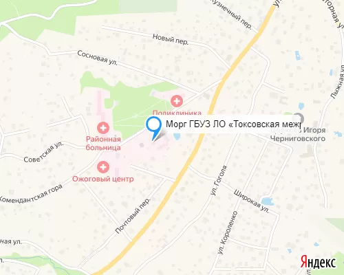 Морг ГБУЗ ЛО «Токсовская межрайонная больница»