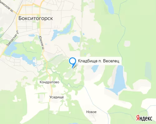 Кладбище п. Веселец