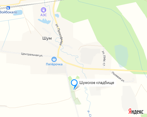 Шумское кладбище в с. Шум
