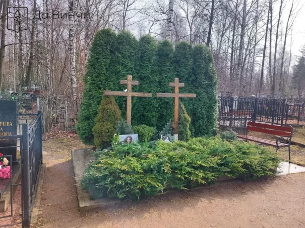 Туи на Колпинском городском кладбище