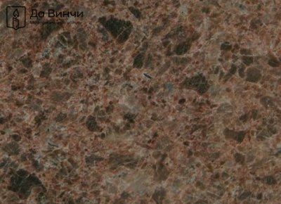 Лабрадор Антик