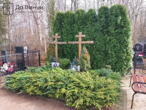 Туи на Колпинском городском кладбище
