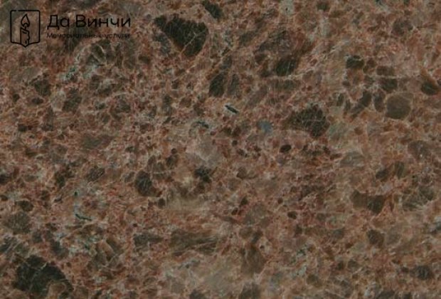 Лабрадор Антик